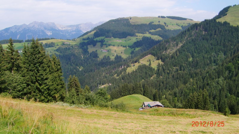 bild(50)